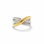 Σκουλαρίκια καρδιές δίχρωμα - Image 5