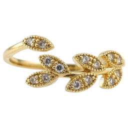 gynaikeia daxtilidia